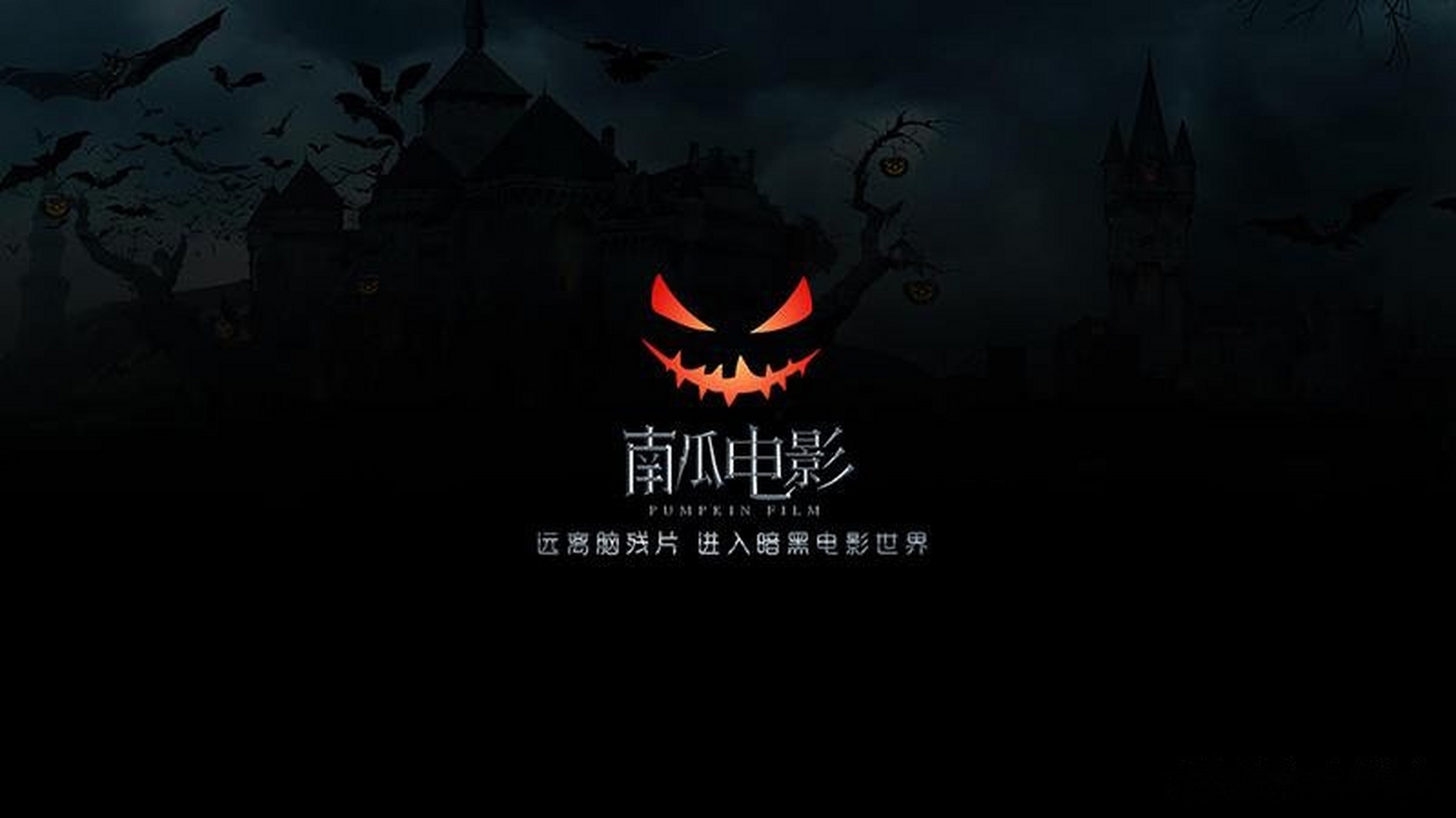 南瓜電影下載-南瓜電影最新版/手機(jī)版/安卓版/正式版