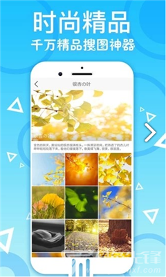 Biu主題壁紙高清版