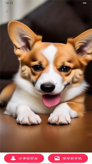 動(dòng)態(tài)DIY壁紙手機(jī)高清版