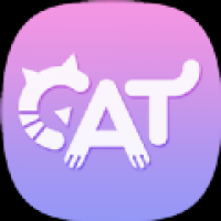 貓咪記單詞官網(wǎng)版