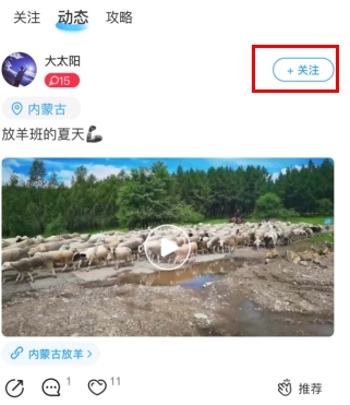 墨魚旅行專業(yè)版