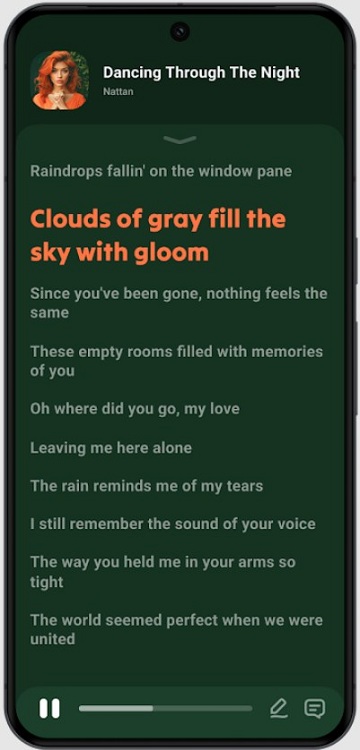 Lark Player中文版