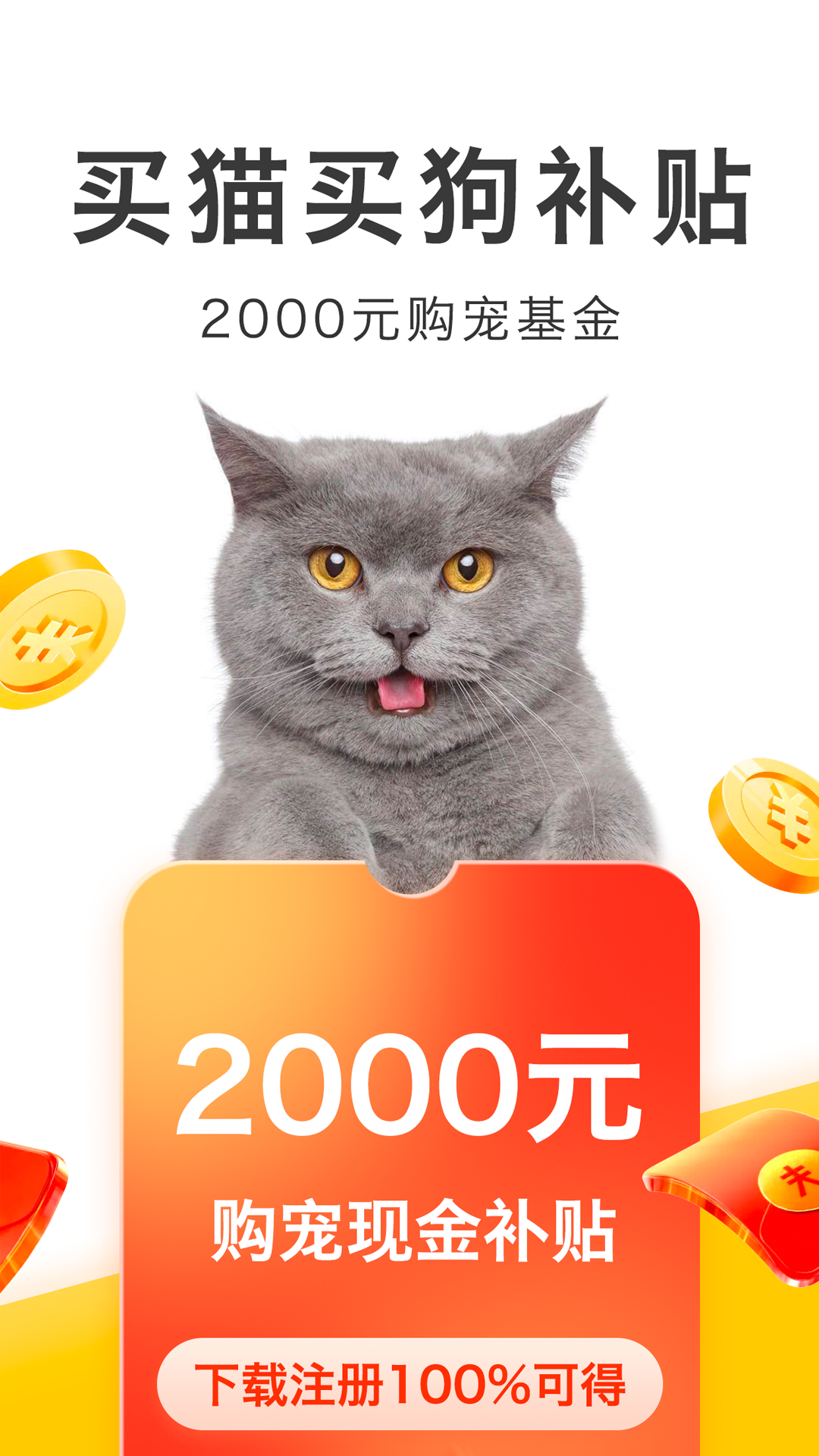 買只寵物正式版