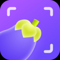 茄子相機(jī)最新版