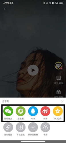 羞兔動態(tài)壁紙安卓版