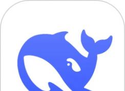 DeepSeek怎么本地部署-DeepSeek本地部署教程詳解