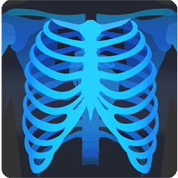 MicroDicom DICOM Viewer(醫(yī)學影像查看)