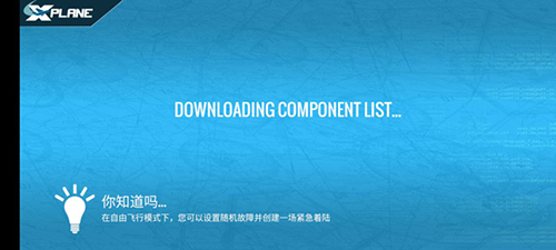 專業(yè)模擬飛行12聯(lián)機版