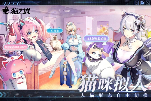 貓之城(內(nèi)附兌換碼)