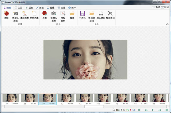 Screen To Gif(GIF動(dòng)畫錄制工具)