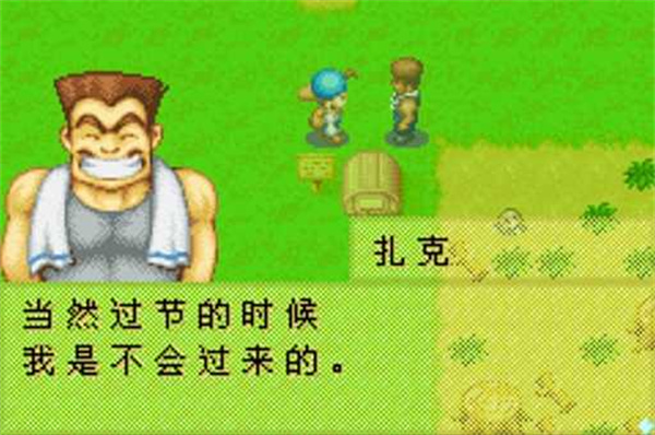 牧場(chǎng)物語(yǔ)礦石鎮(zhèn)的伙伴們手游