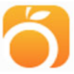 桔子一鍵重裝系統(tǒng)