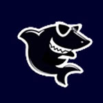 黑鯊裝機(jī)大師