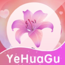 野花谷相機(jī)