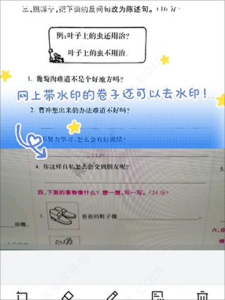 蜜蜂試卷安卓版