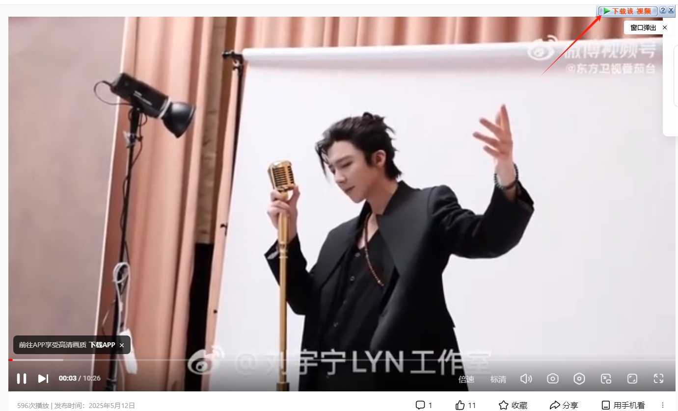 Internet Download Manager