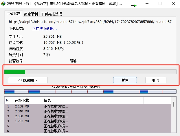 Internet Download Manager