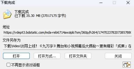 Internet Download Manager