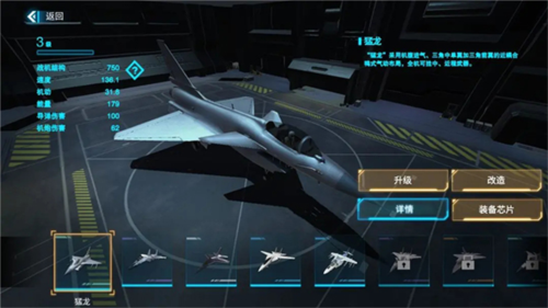 藍(lán)天衛(wèi)士國(guó)際服