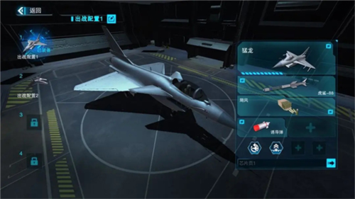 藍(lán)天衛(wèi)士國(guó)際服