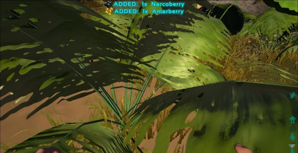 方舟生存進化客戶端