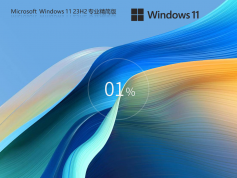 Win11 23H2專業(yè)精簡版 | Win11 64位免TPM版下載