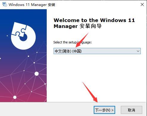 Windows 11 Manager
