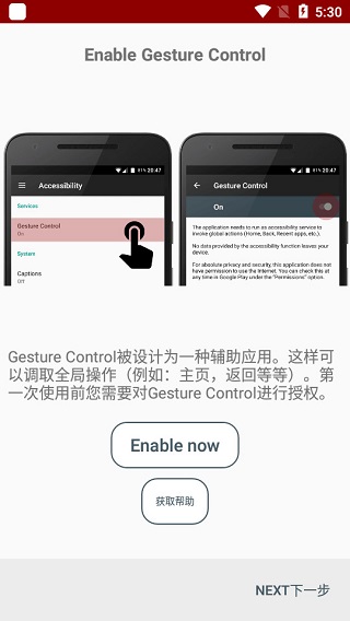 Gesture Control