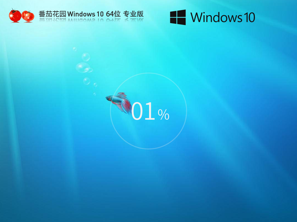番茄花園Windows10定制版系統(tǒng)下載 | Windows10專業(yè)中文版64位