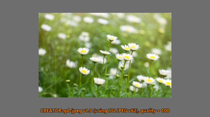 Shutter圖像瀏覽器