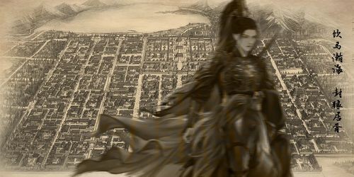 戰(zhàn)神夫人免費版