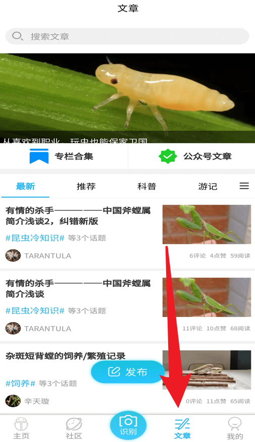 昆蟲百科安卓版