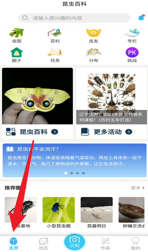 昆蟲百科安卓版