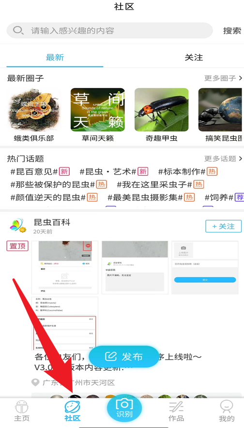 昆蟲百科安卓版