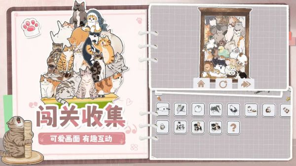 擠在一起的貓貓