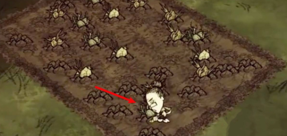 饑荒手游安卓最新版