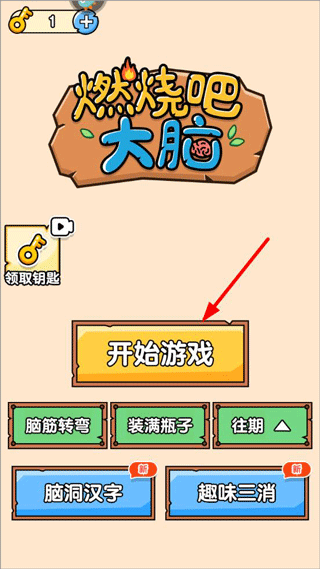 燃燒吧大腦游戲