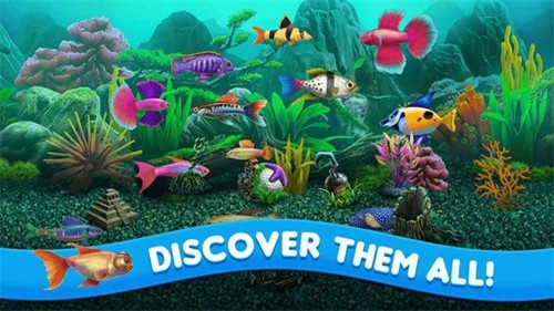 養(yǎng)魚大亨2手機中文版