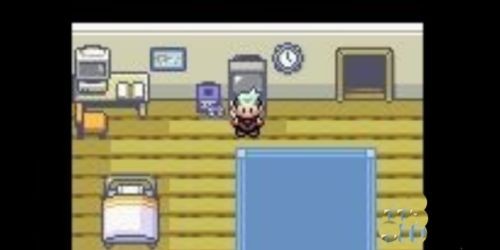 口袋妖怪究極綠寶石5.5內(nèi)置菜單版（含作弊碼大全）