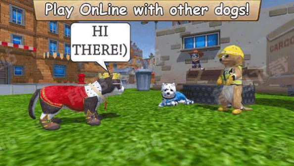 最新的ZOOM動物馬牧場