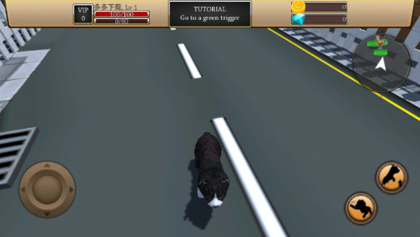 最新的ZOOM動物馬牧場