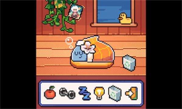 我的小鯊魚正版