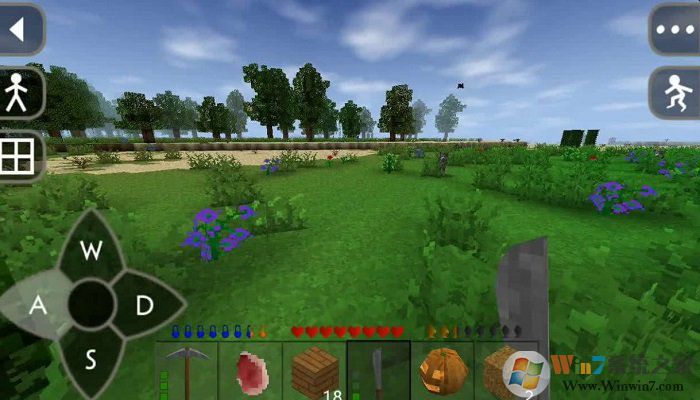 生存戰(zhàn)爭2聯(lián)機版雙人版