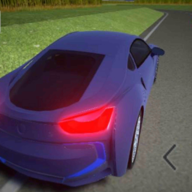 拉力賽車王最新版