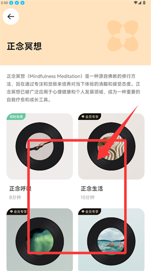 BodyFit（ 巴迪菲）