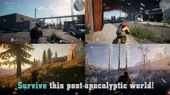 代號(hào)PZ（projectz）國(guó)際版