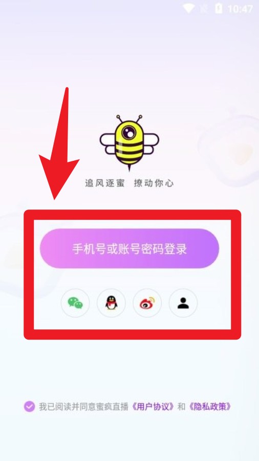 蜜瘋直播APP