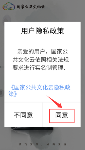 國家公共文化云