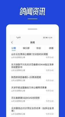 青鴿網(wǎng)APP