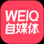 weiq自媒體